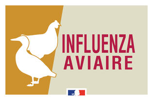 AFFICHE INFLUENZA AVIAIRE